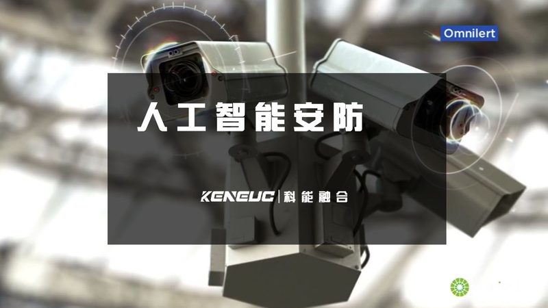 电商行业AI应用开发：如何构建高效智能解决方案