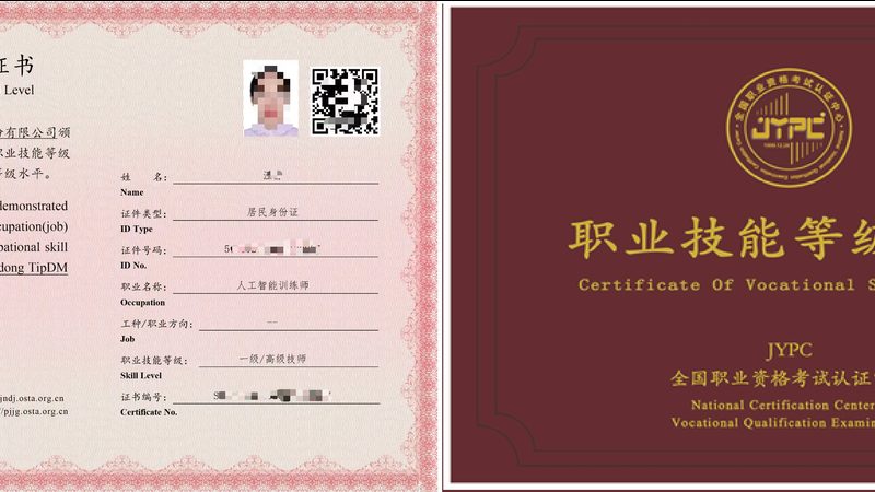 K12教育AI定制方案：如何打造个性化学习体验